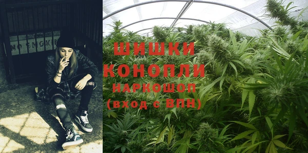 прущая мука Богородицк