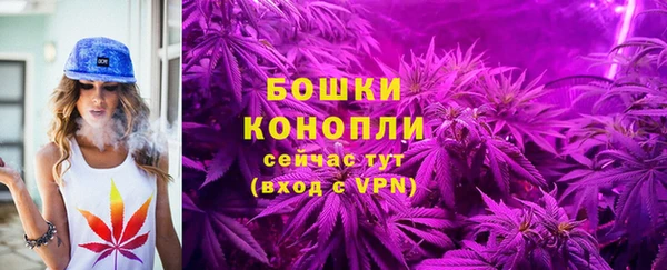 прущая мука Богородицк