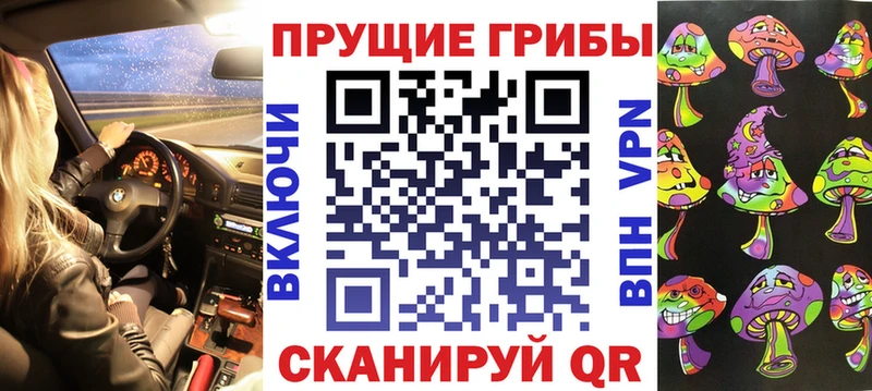 Купить где  Суджа  Галлюциногенные грибы Magic Shrooms 